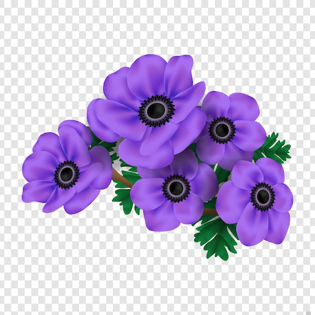 Vector floral design: garden anemone fowers