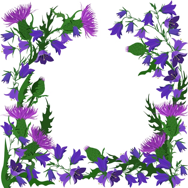 Vector floral postcard of campanula flowers and thistle on a white background with place for your text Flower frame for greetings invitations design of wedding cards