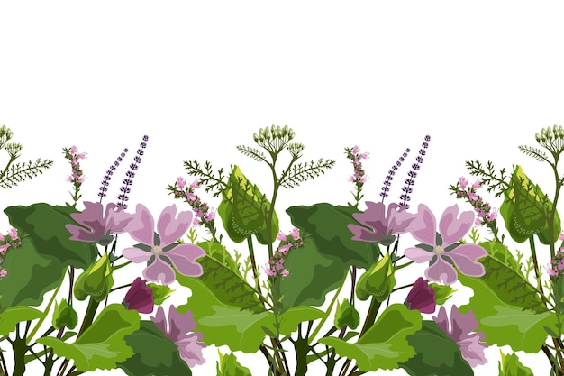 Vector floral seamless pattern, border. Horizontal panoramic design with mallow, yarrow and hyssop.