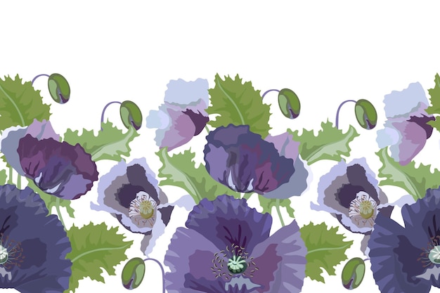 Vector floral seamless pattern, border. Lilac poppies, green leaves and buds on a white background.