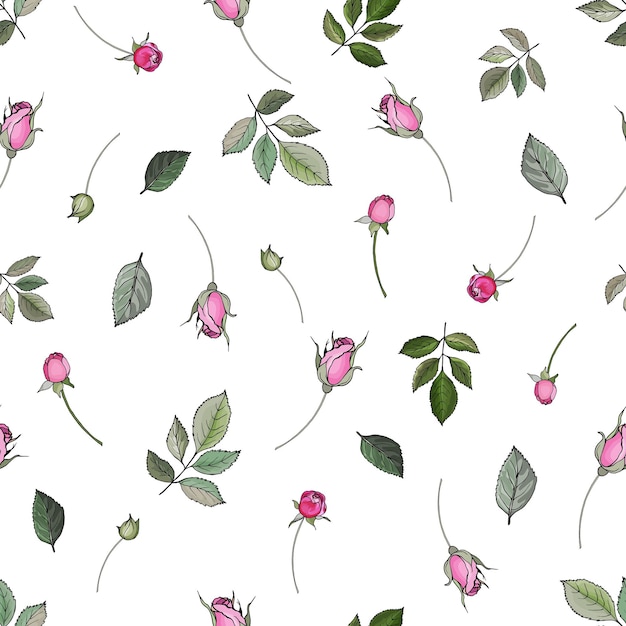 Vector floral seamless pattern with buds flowers pink roses and green leaves