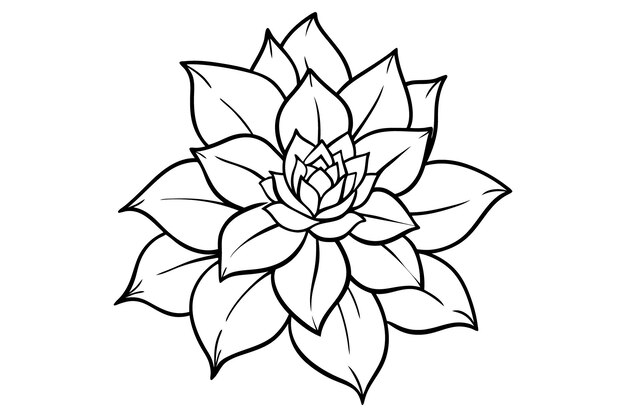 vector flower design