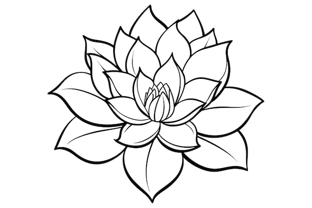 vector flower design