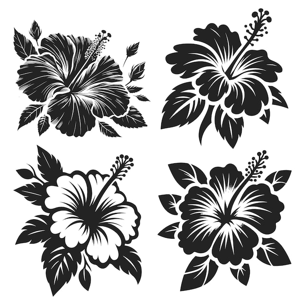 Vector Flower icon illustration Set of decorative Hibiscus flower silhouettes