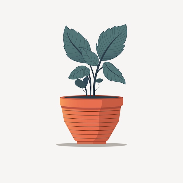 Vector flower in a pot flat style vector illustration