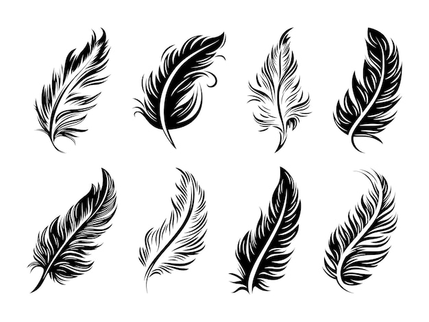 Vector Fluffy Feather Silhouette Icon Set Isolated