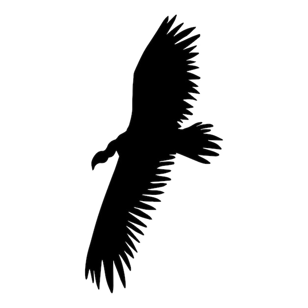 Vector flying griffon vulture bird silhouette