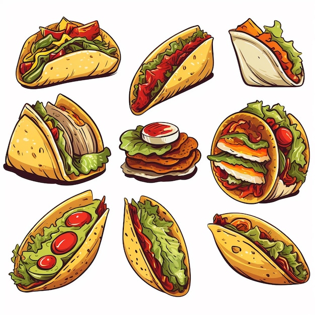 vector food taco mexican illustration design mexico tortilla restaurant graphic background