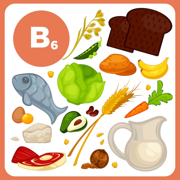 Vector food with vitamin B6.