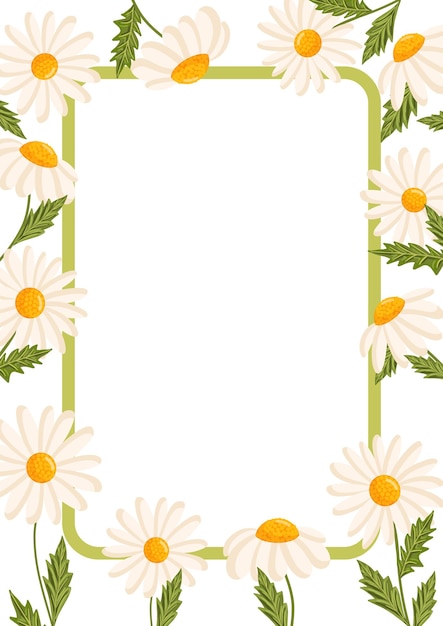 Vector vector frame for postcard or poster with daisies chamomile floral illustration for congratulations