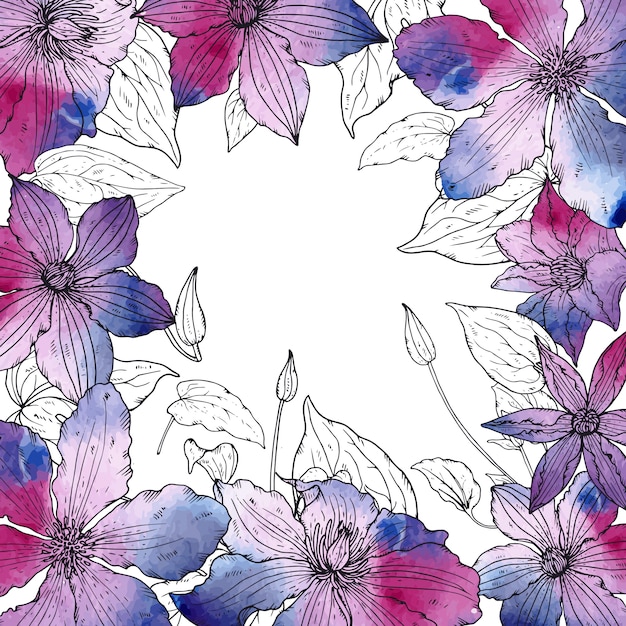 Vector frame with beautiful clematis flowers