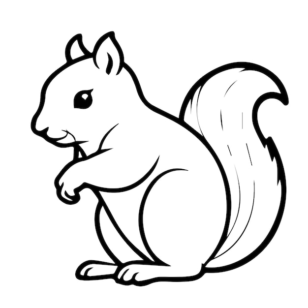 Vector vector free vector squirrel design