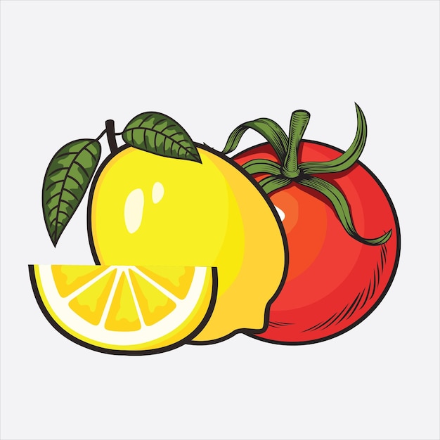 vector fresh fruits on white background