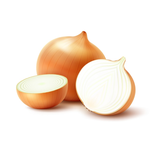 Vector Fresh Whole and Sliced Yellow Onion Bulbs on White