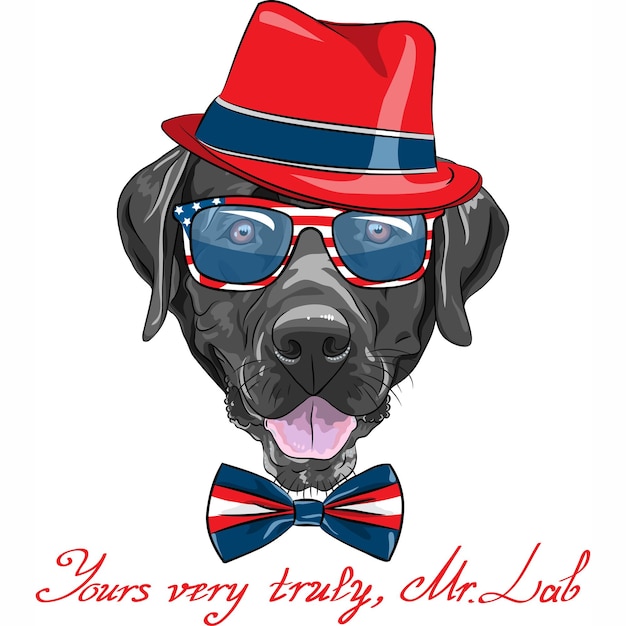 Vector funny cartoon black hipster dog Labrador Retriever