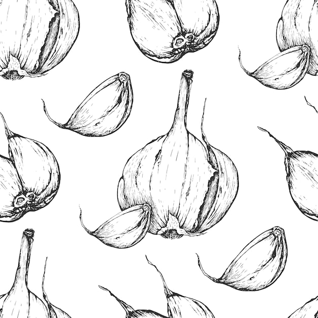 Vector garlic handdrawn seamless pattern in the style of engraving