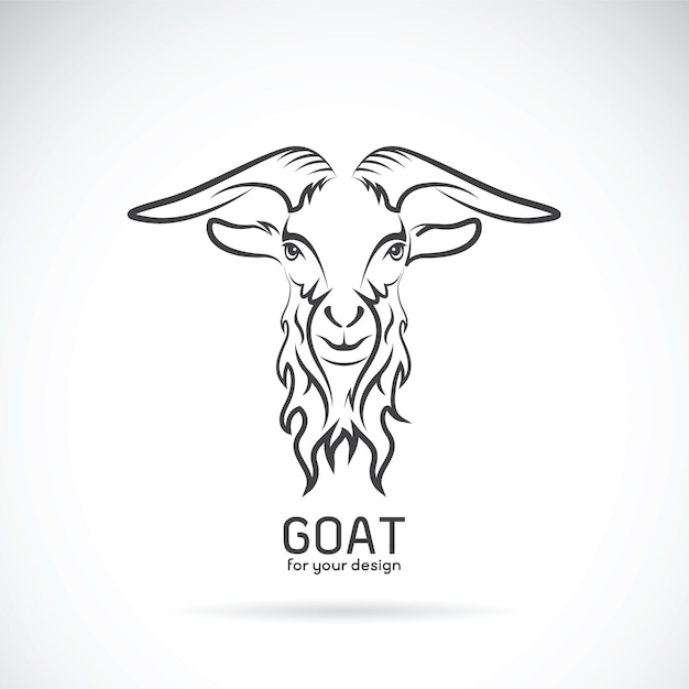 Vector vector of a goat head design on white background wild animals