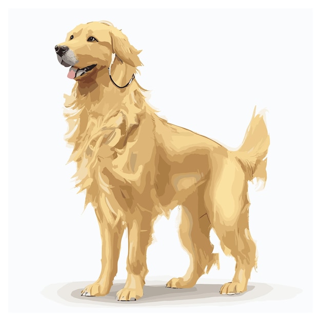 Vector golden retriever dog animal clipart editable white background