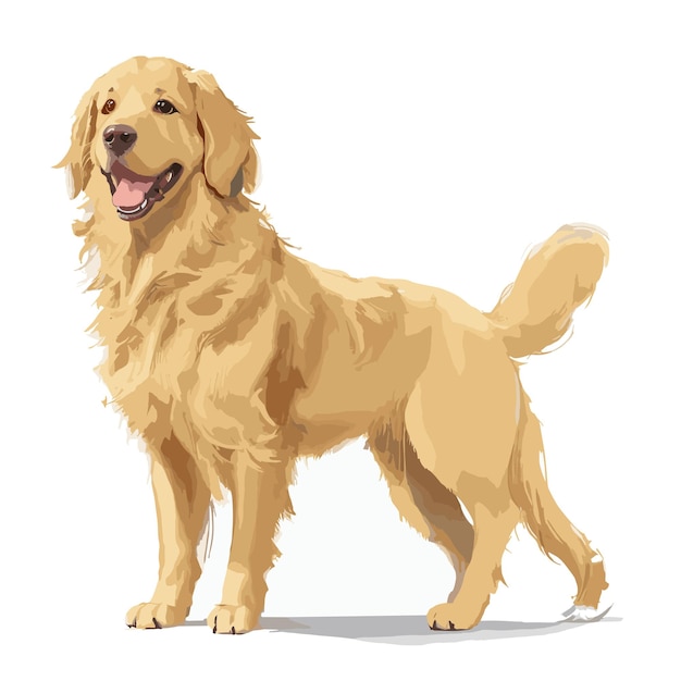 Vector Golden Retriever Dog animal clipart editable white background