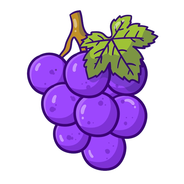 vector grape fruit cartoon illustration flat cartoon style