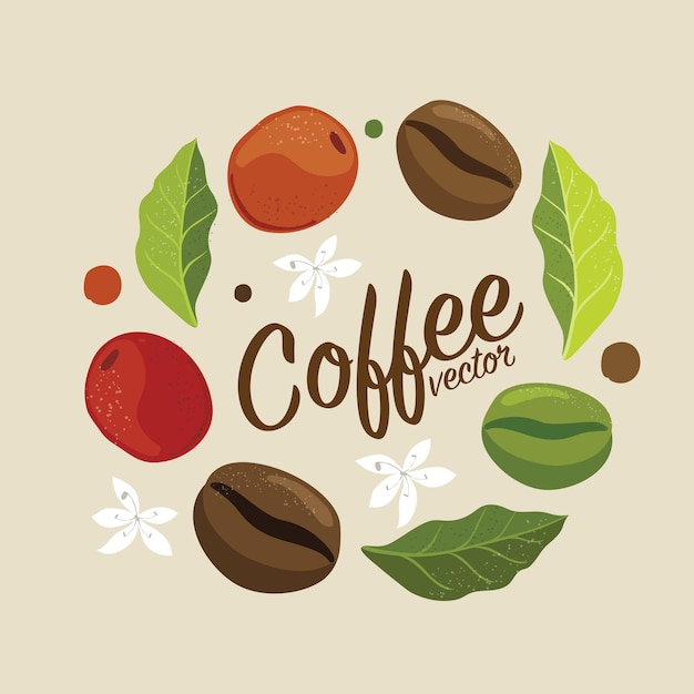 Vector graphic coffee tree plantation, branch, leaf, bean.