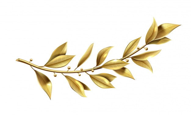 Vector graphics. Golden laurel branch is part of the winner wreath.