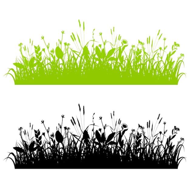 Vector grass borders set isolated on white background