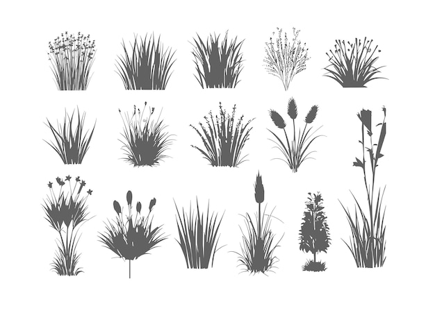 Vector grass plants silhouette for sign symbol or background