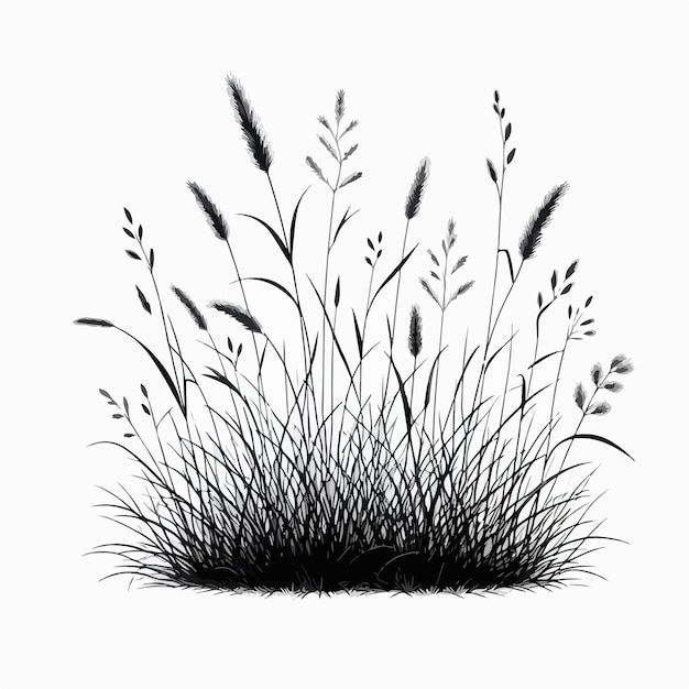 Vector vector of a grass thatch background