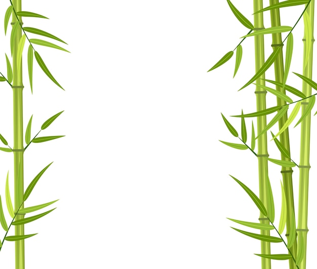 Vector green bamboo stems