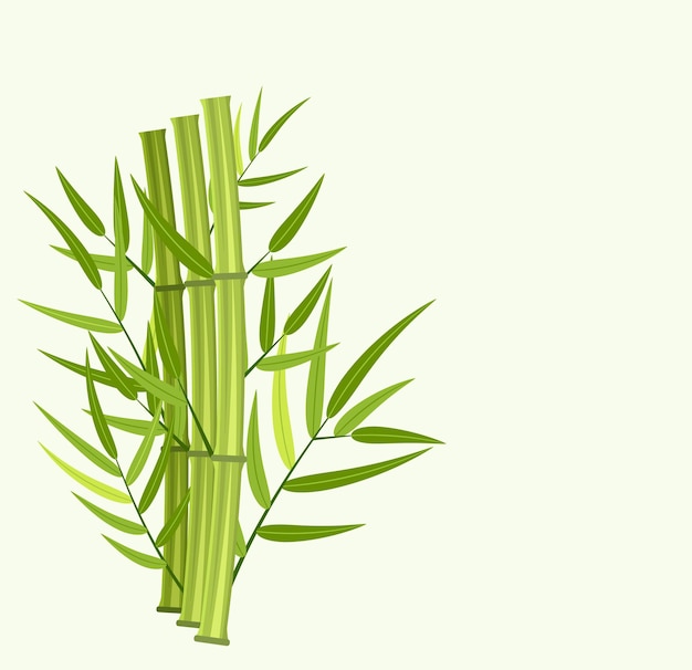 Vector green bamboo stems