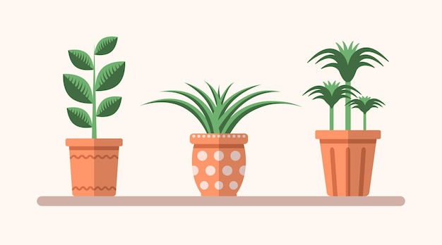 Vector green flat plants in pots on the shelf Simple interior illustration