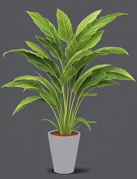 Vector green home decorative plant houseplant for interior design