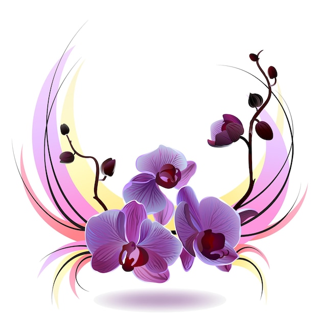 Vector greeting card with violet gentle orchid bouquet on the white background