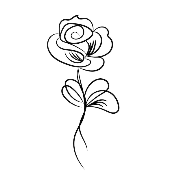 vector hand drawn baroque flowers