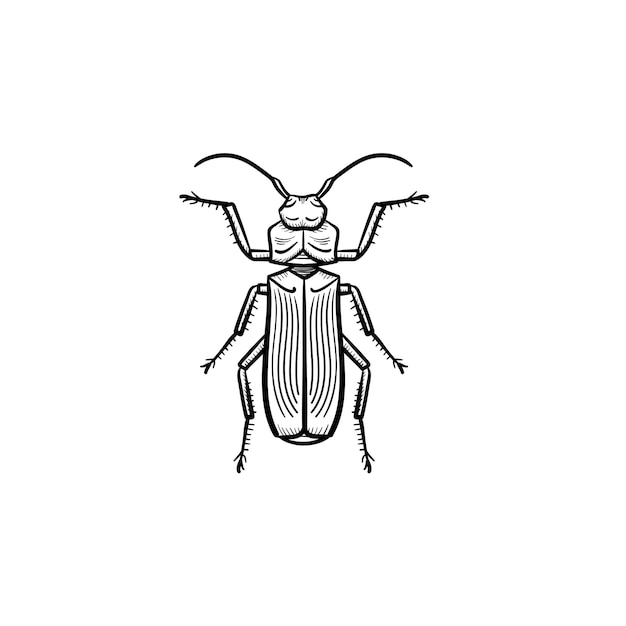 Vector hand drawn beetle outline doodle icon. Beetle sketch illustration for print, web, mobile and infographics isolated on white background.