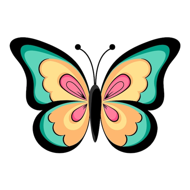 Vector hand drawn butterfly colorful