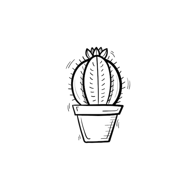 Vector hand drawn cactus outline doodle icon. Decorative potted house plant sketch illustration for print, web, mobile and infographics isolated on white background.