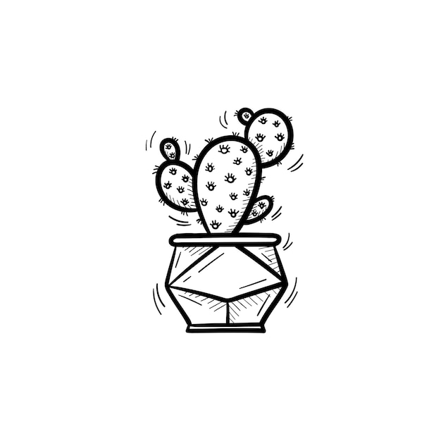 Vector hand drawn cactus outline doodle icon. Decorative potted house plant sketch illustration for print, web, mobile and infographics isolated on white background.