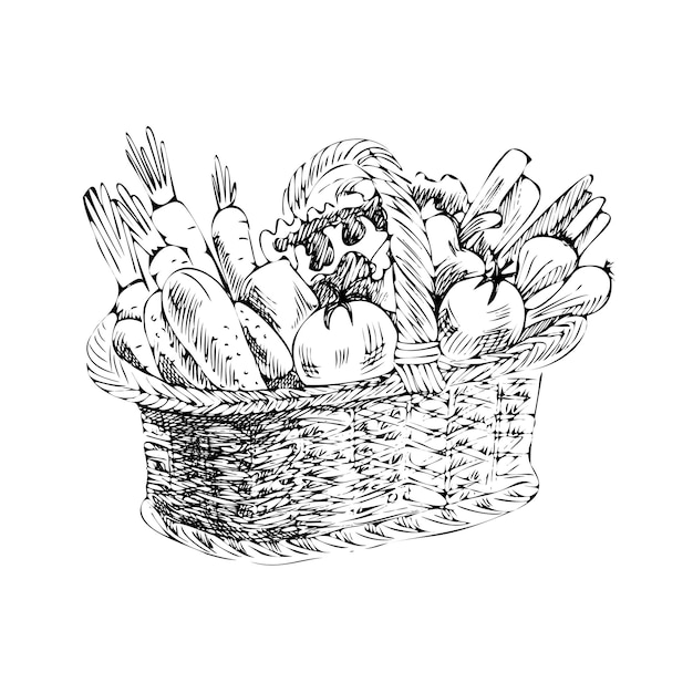 Vector hand drawn detailed retro style basket with vegetables sketch Illustration