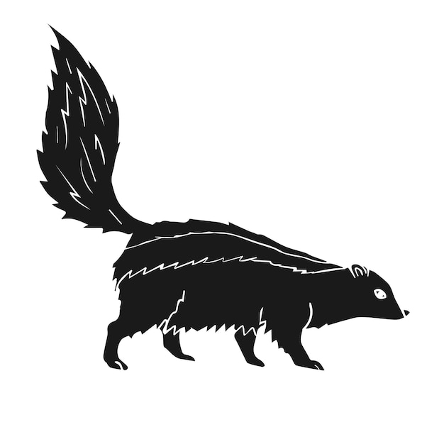 Vector hand drawn doodle sketch black skunk