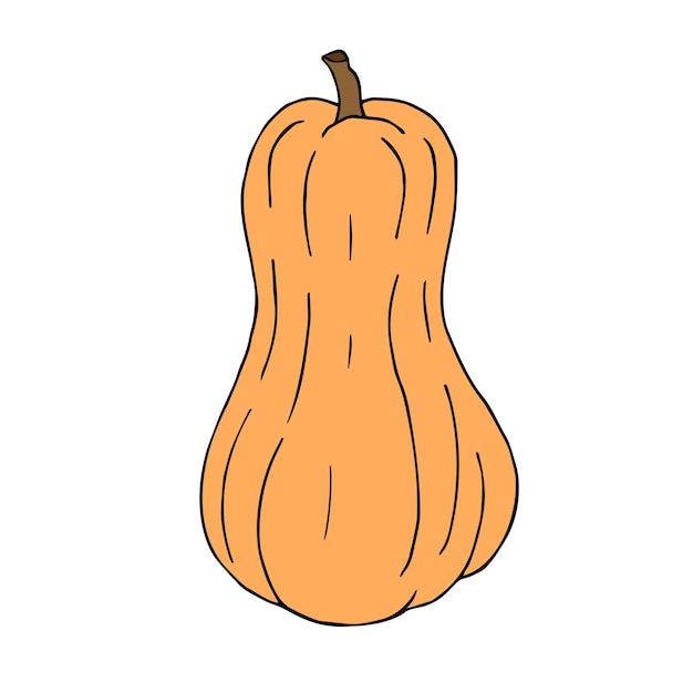 Vector hand drawn doodle sketch colored pumpkin