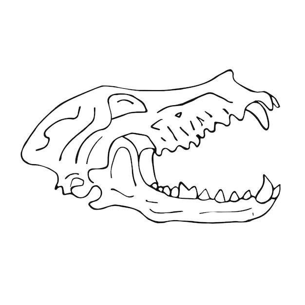 Vector hand drawn doodle sketch dog wolf skull