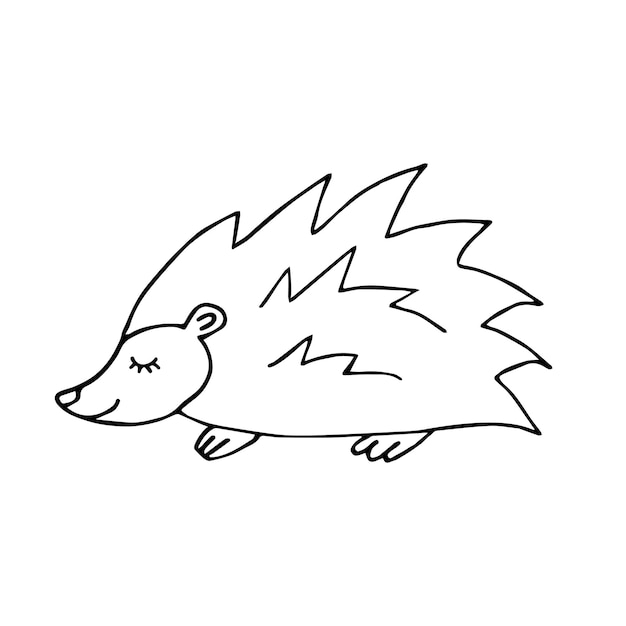 Vector hand drawn doodle sketch hedgehog