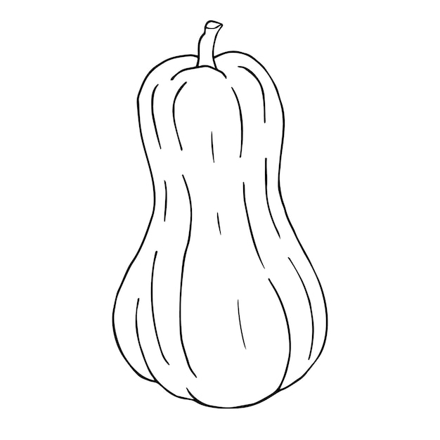 Vector hand drawn doodle sketch pumpkin