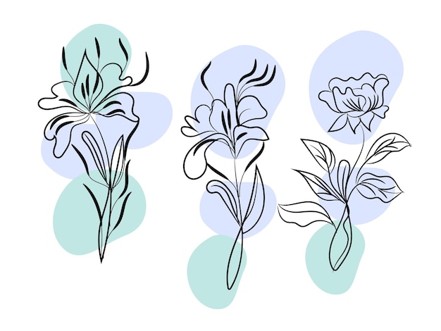 vector hand drawn flower collection