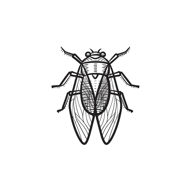 Vector hand drawn fly outline doodle icon. Fly sketch illustration for print, web, mobile and infographics isolated on white background.