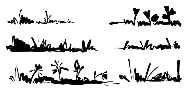 Vector hand drawn grass herbal set