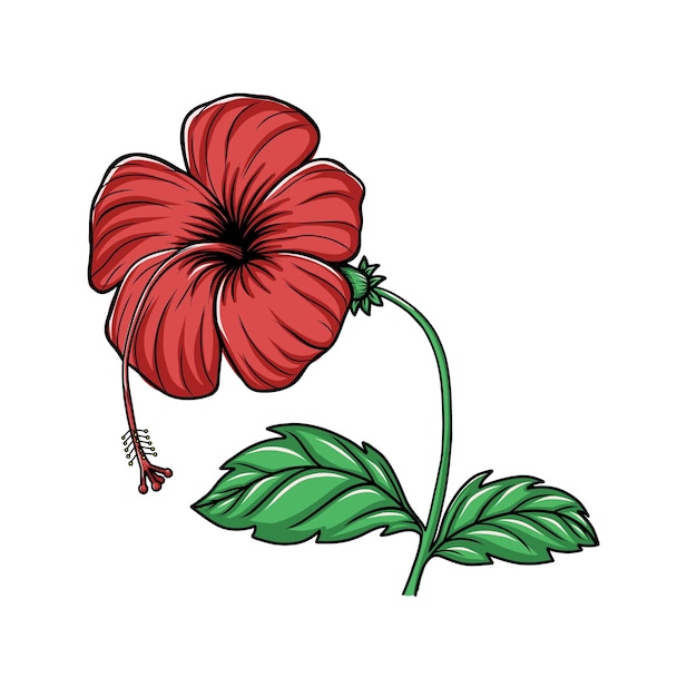 Vector hand drawn illustration of hibiscus flower