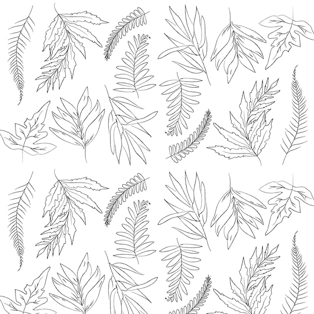 Vector vector hand drawn leaf